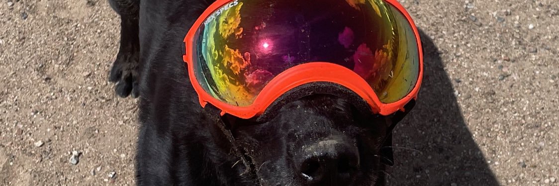 SpencerAlbert12's profile banner image