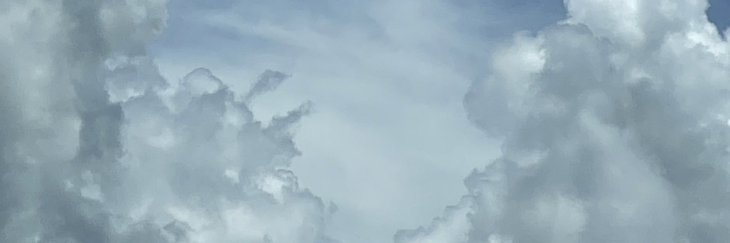 Leexviruet's profile banner image