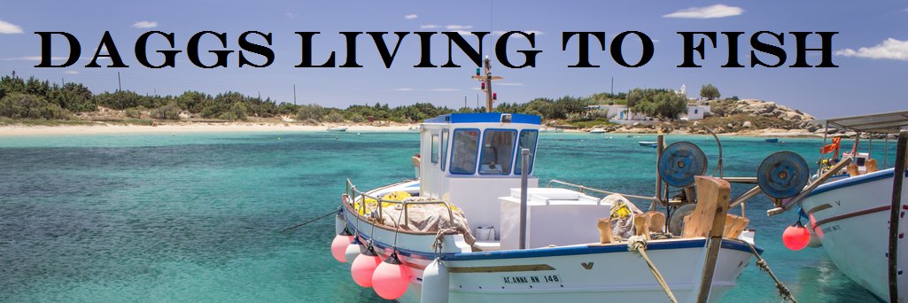 DaggsLivingFish's profile banner image