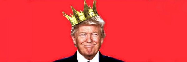 surly_viking Profile Banner