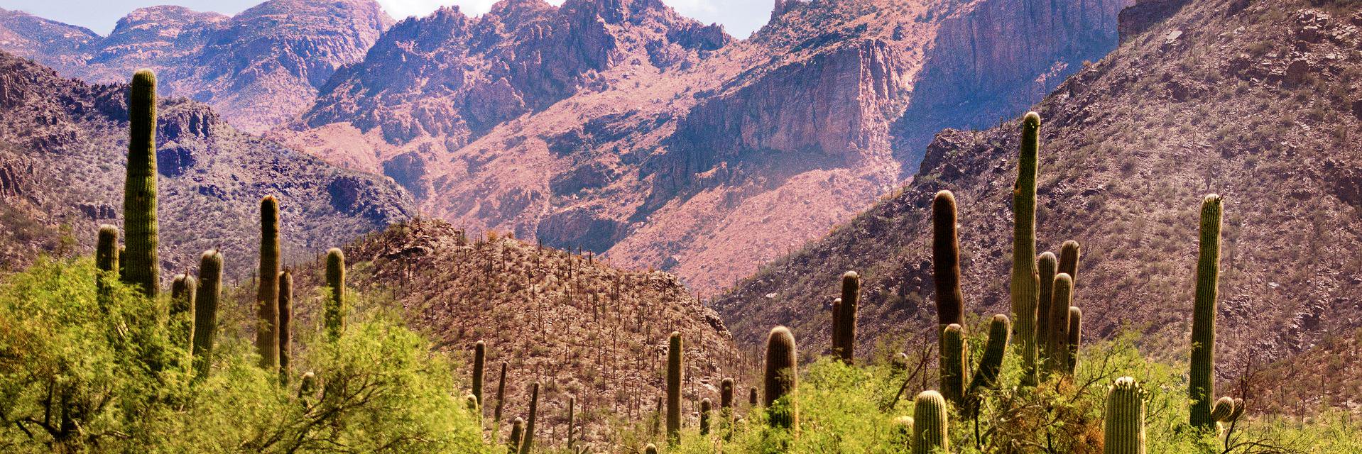 CanyonView1's profile banner image