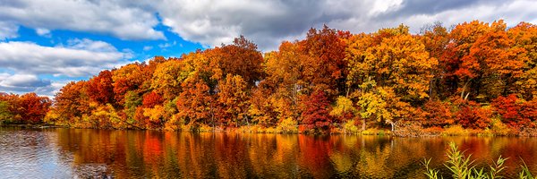 RMC_Chris Profile Banner