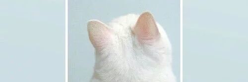pieppxxx's profile banner image