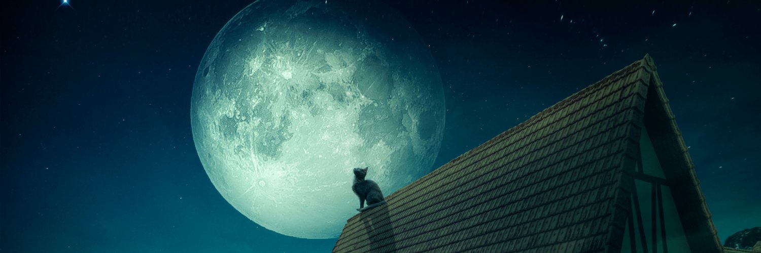 _Xun_1203's profile banner image