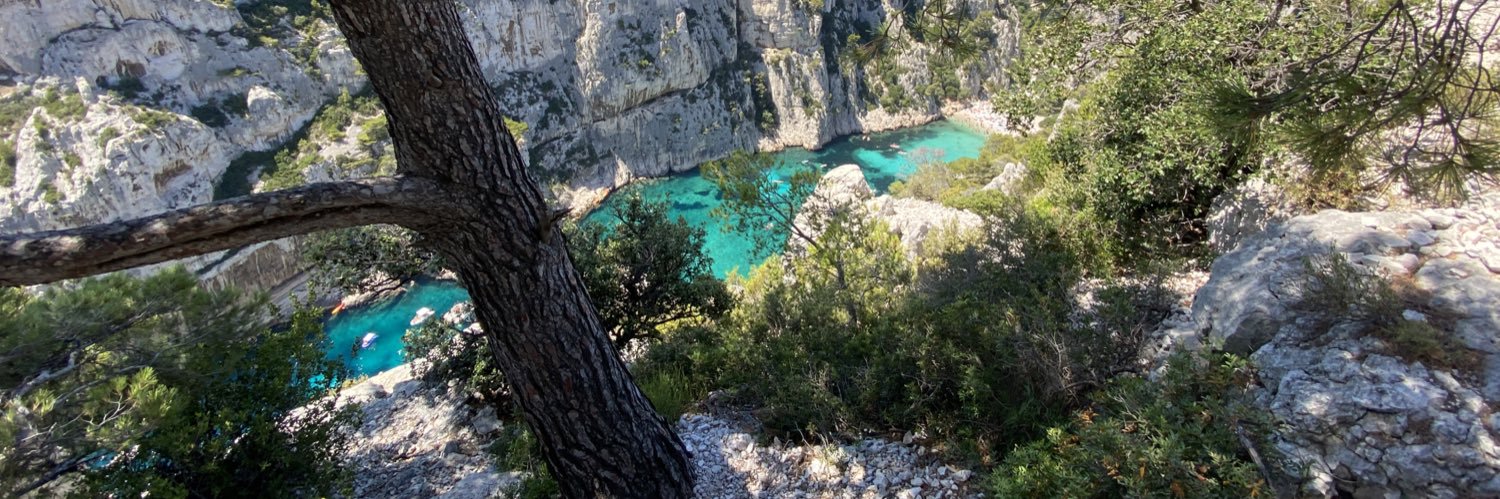 Maxime Horgues banner