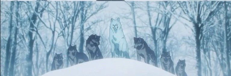 OutinDR's profile banner image
