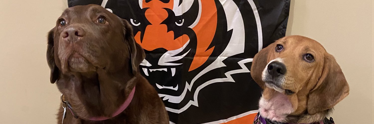 Bring on Next Chapter banner