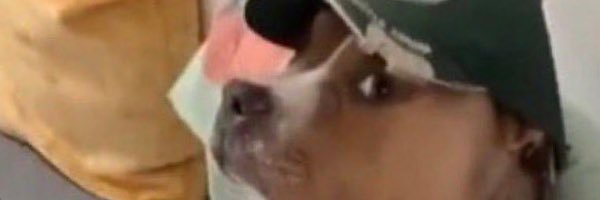 Maury6171's profile banner image