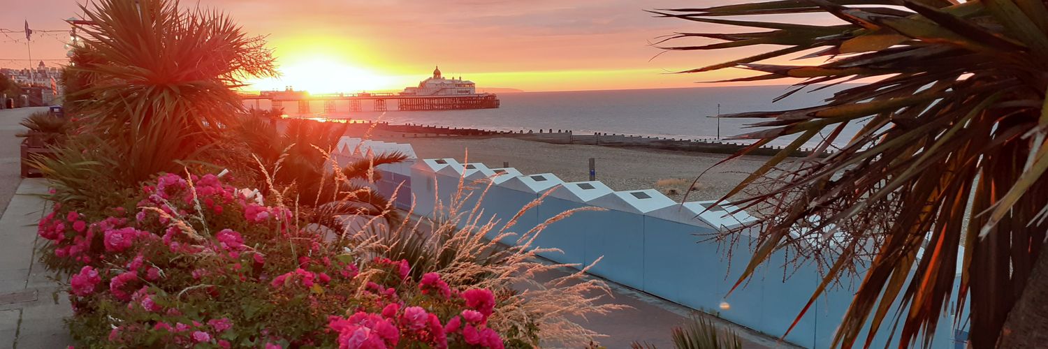 Simon Newstead banner