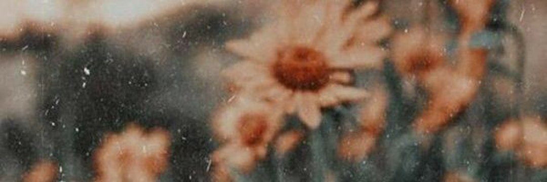 KarolOlanoo's profile banner image