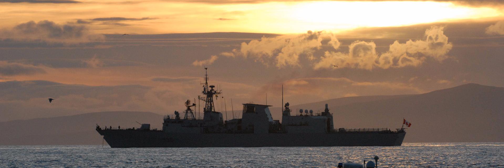 CDN Naval Review banner