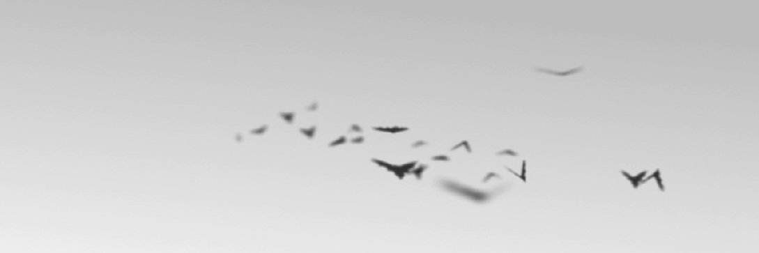 Рин Шишмиш 🦇 banner