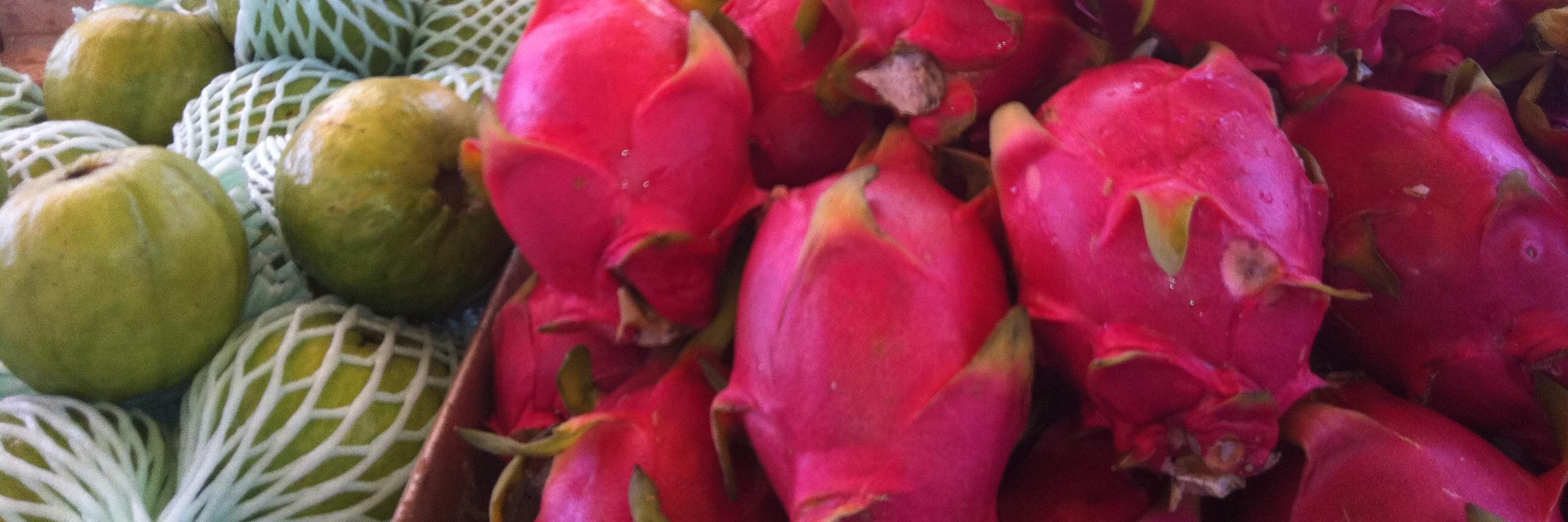 carolinaper's profile banner image