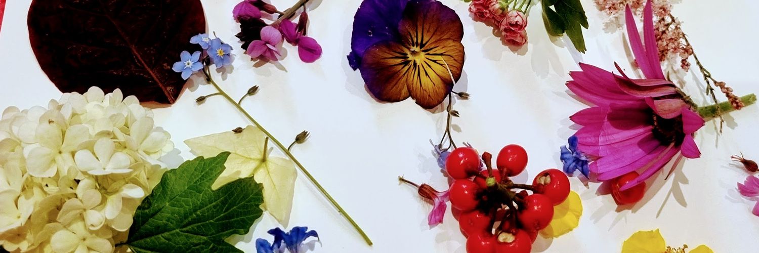 Rammya Mathew banner