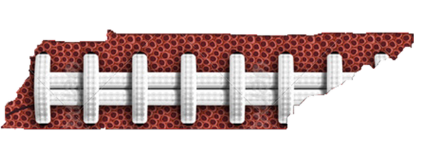 NETPigskin Profile Banner