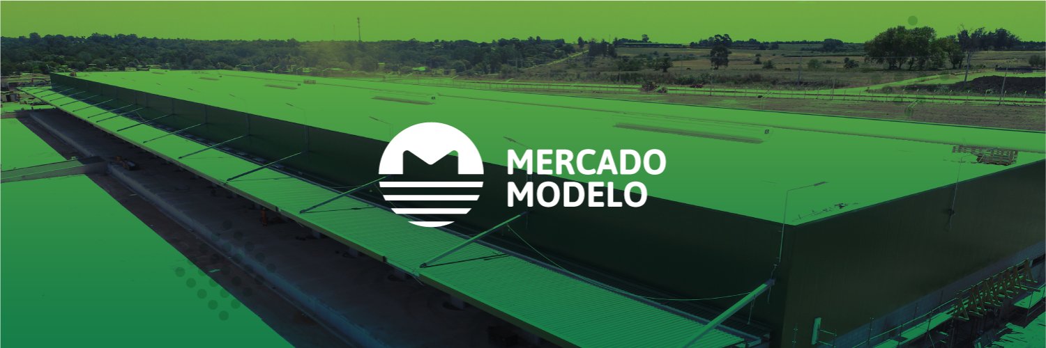 Mercado Modelo banner