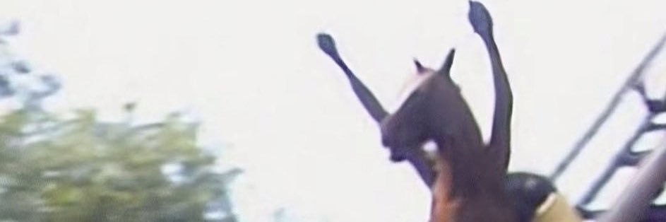 esmaoztase's profile banner image