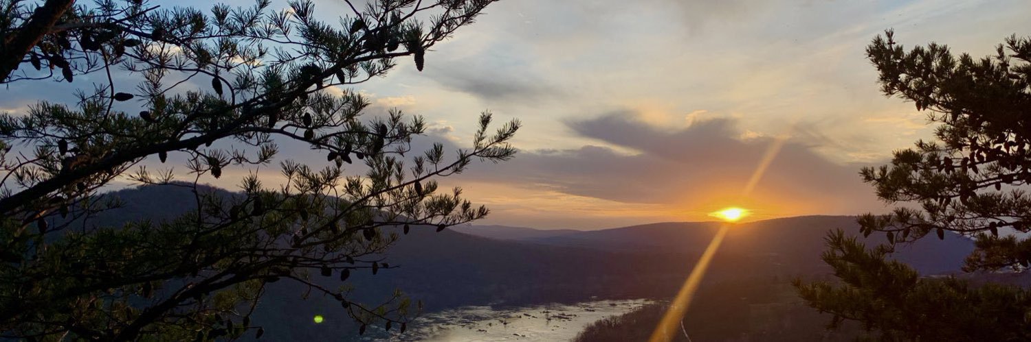 JulieAppelstein's profile banner image