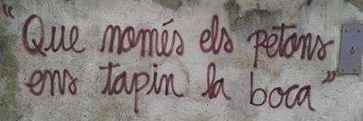 Estefania Castillo banner