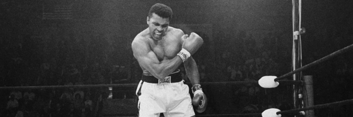 Jeremiah Webb banner