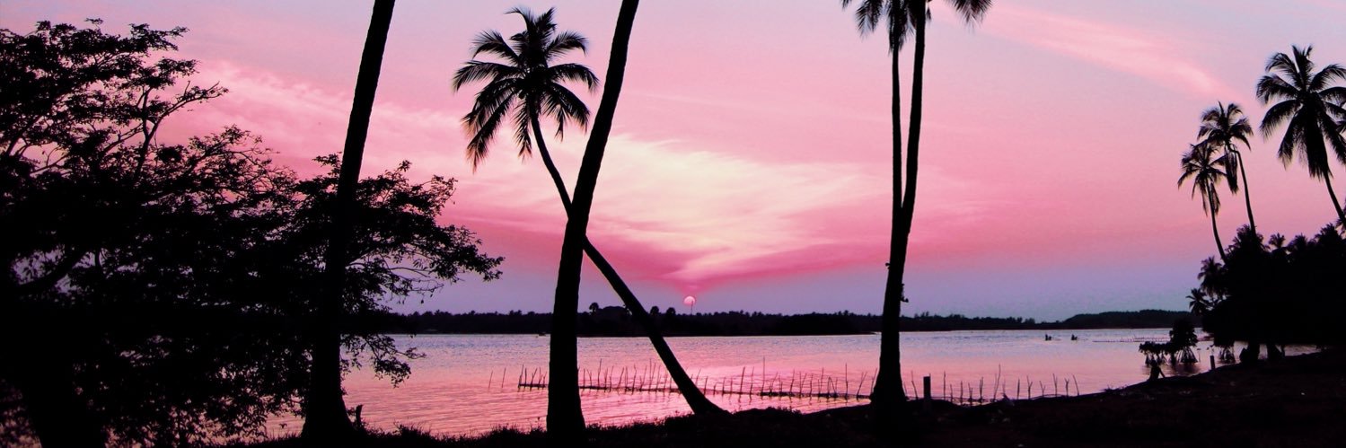djnutritious's profile banner image