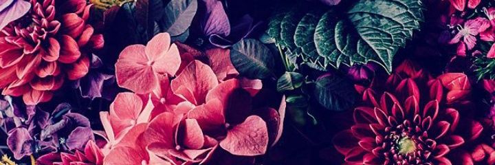 China_CoronelF's profile banner image