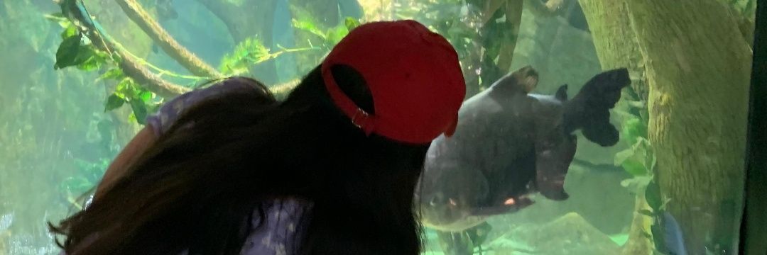 LDanielaBonilla's profile banner image