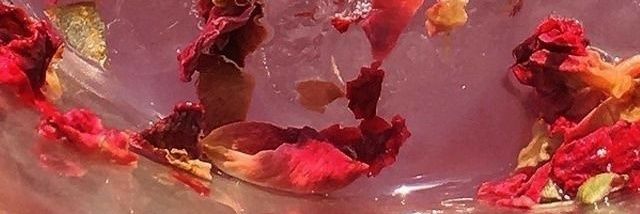 vaultsofia's profile banner image