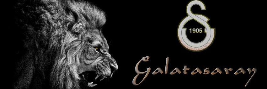 ferhataltnts57's profile banner image