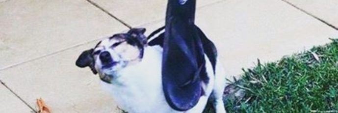 Ian Diazc🦇 banner