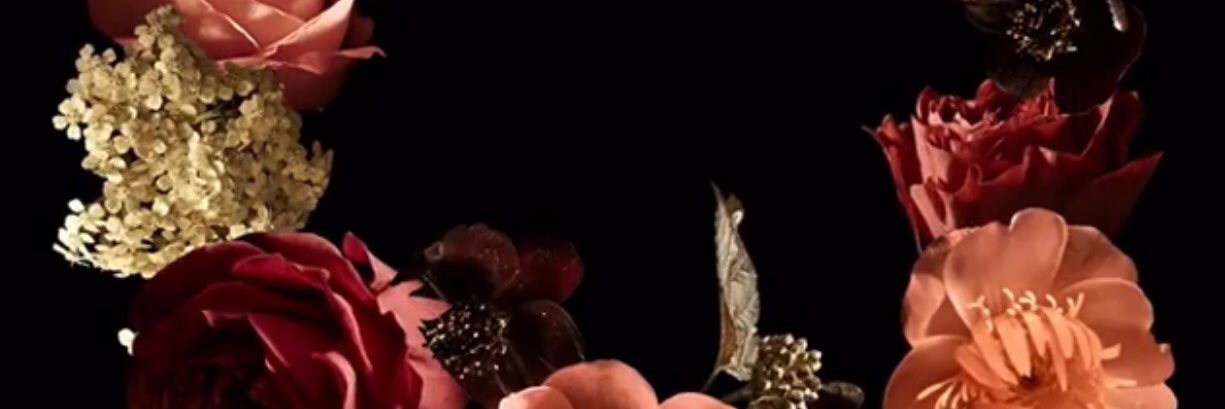 Shahzaader's profile banner image