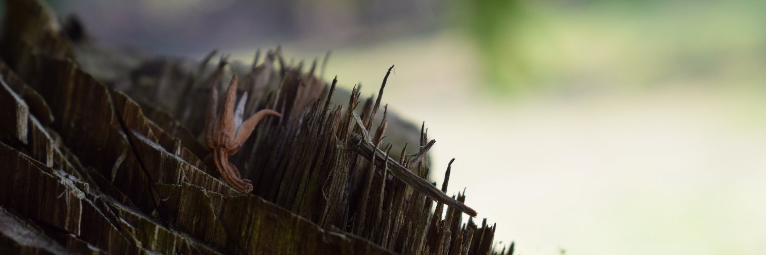 fendirdk's profile banner image
