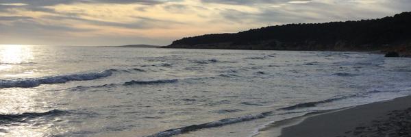 maiteponspons Profile Banner