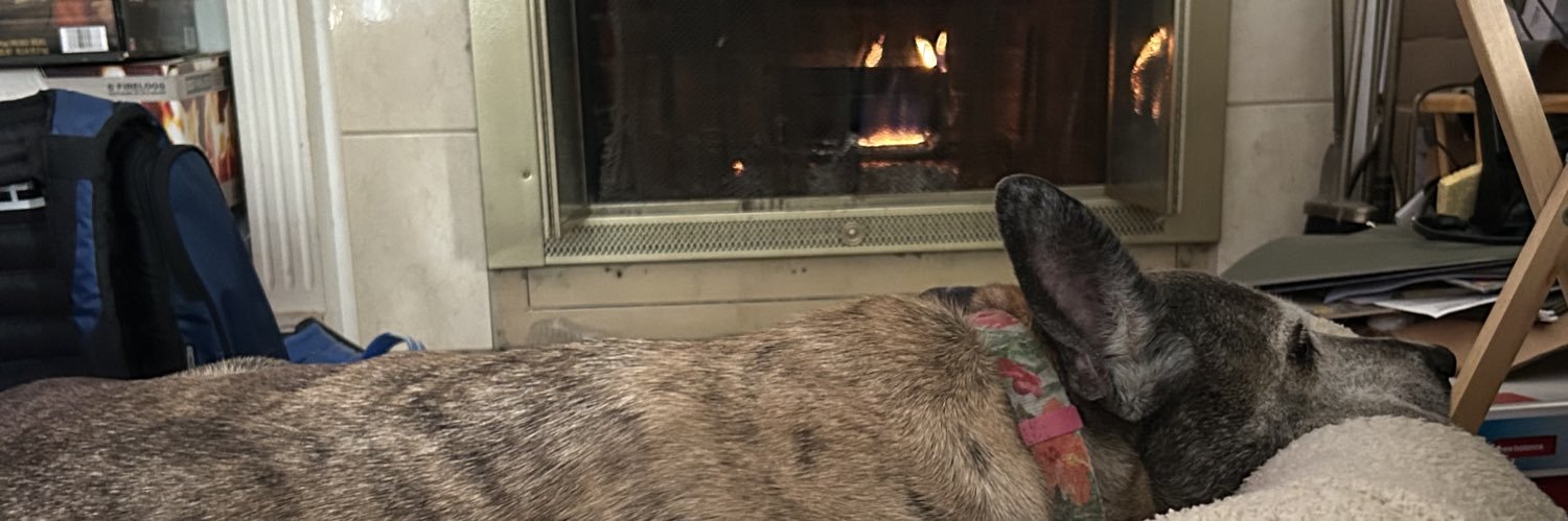 SrDeabear banner