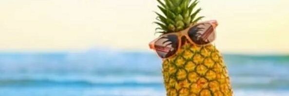 tjg_pineapple's profile banner image