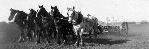 Northern Agri Group banner