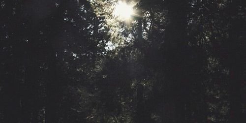 theyfckme's profile banner image