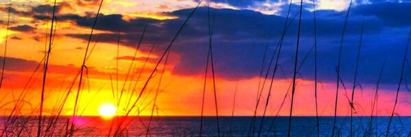 eholt_37 Profile Banner