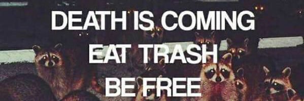_youngkath's profile banner image