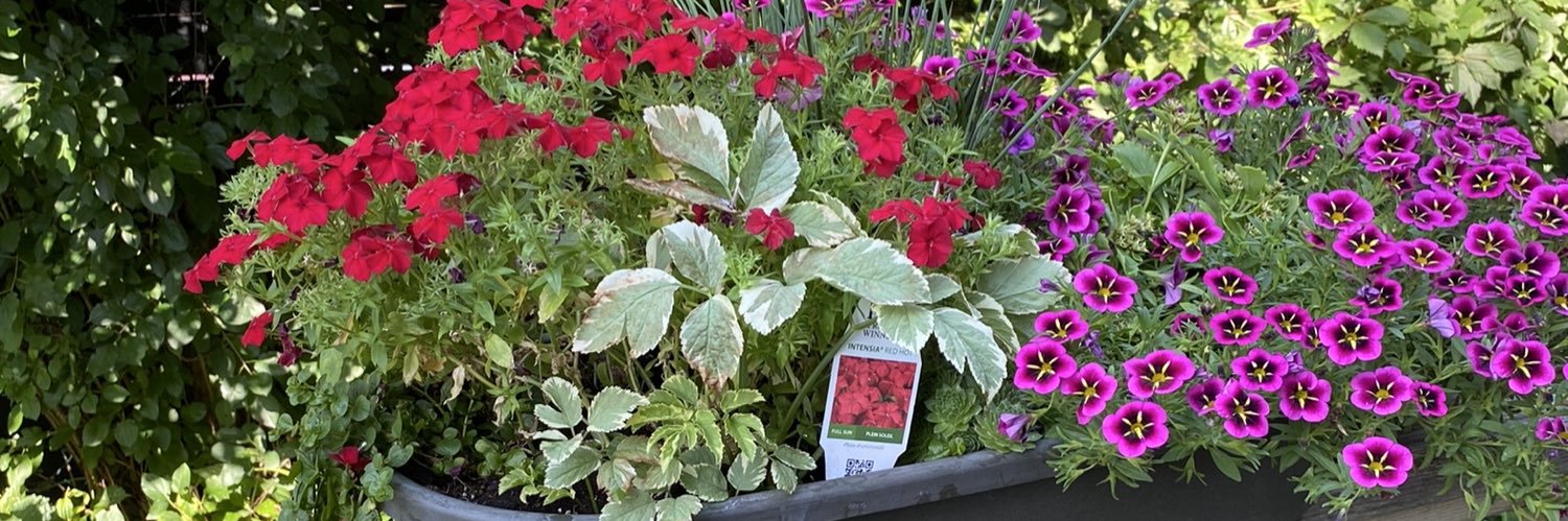 Alastair Oram banner