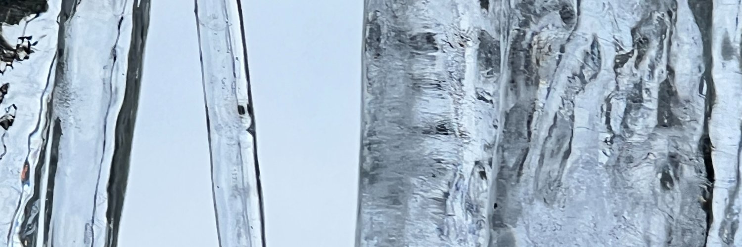 sugardoe's profile banner image
