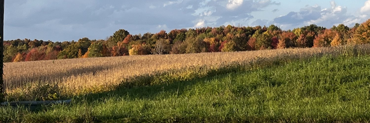 lorettayellow's profile banner image
