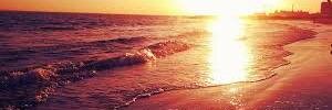 MariliaPop_'s profile banner image