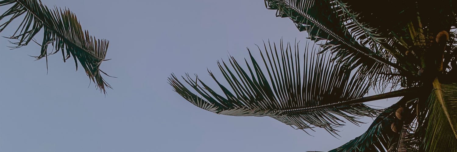 Muhammadzuhdy_'s profile banner image