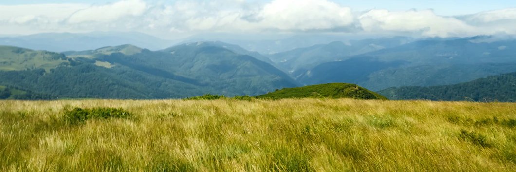 OGordann's profile banner image