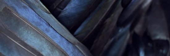 ¤  G R A C E  ¤ banner