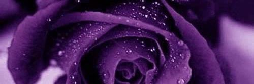 manjavha's profile banner image