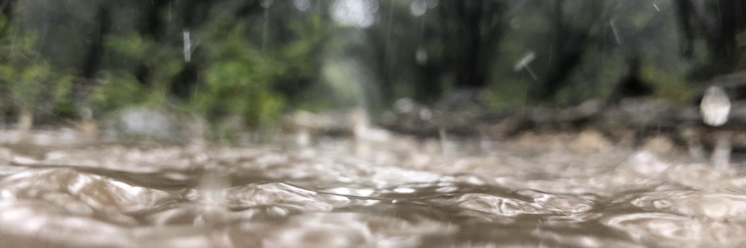 James Perlman banner