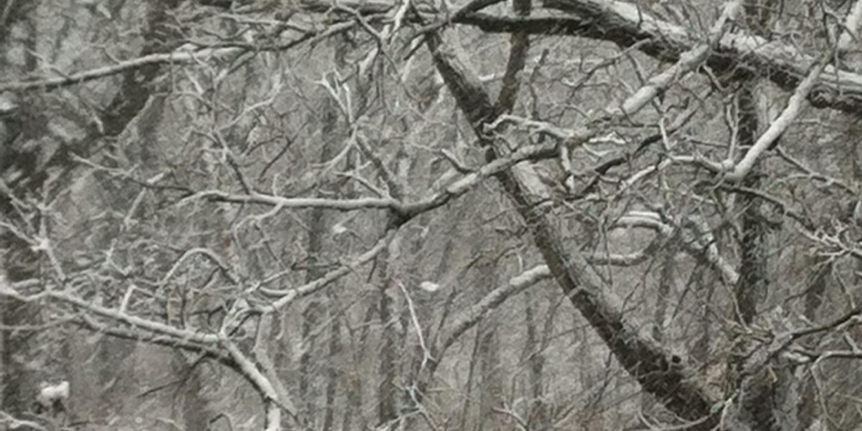 caleb_frederick's profile banner image