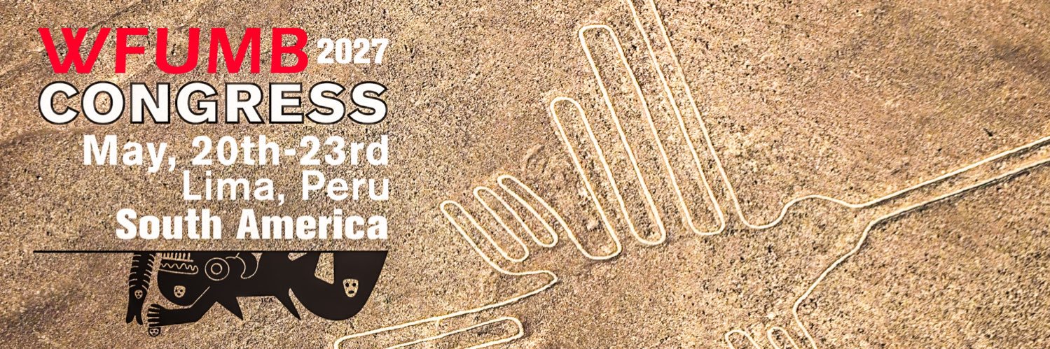 SPUMB COE WFUMB PERÚ banner